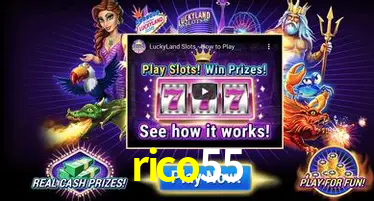 rico55 Curitiba - Live Status