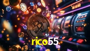 Interface Premium rico55